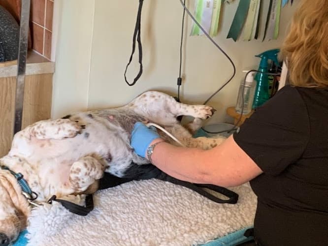 Business listing image