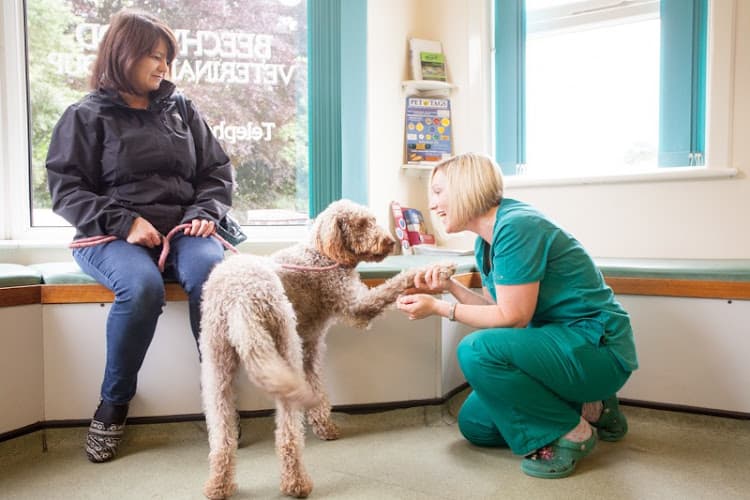 Business listing image