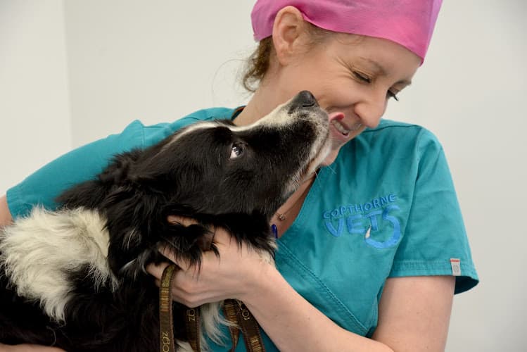 Business listing image