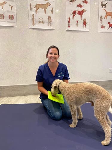 Business listing image