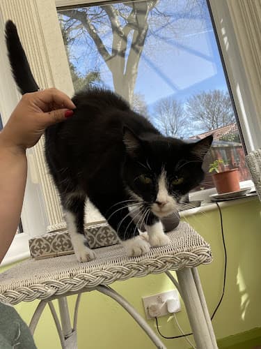 Business listing image