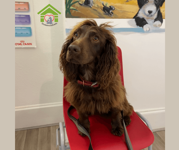 Business listing image