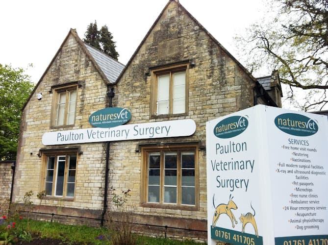 Business listing image