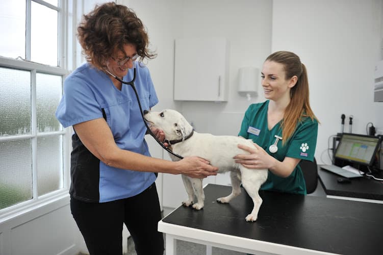 Business listing image