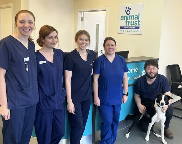 Business listing image