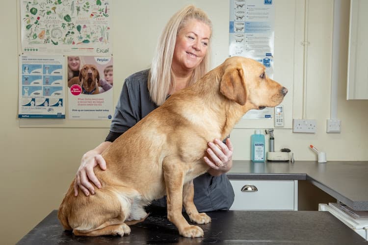 Business listing image