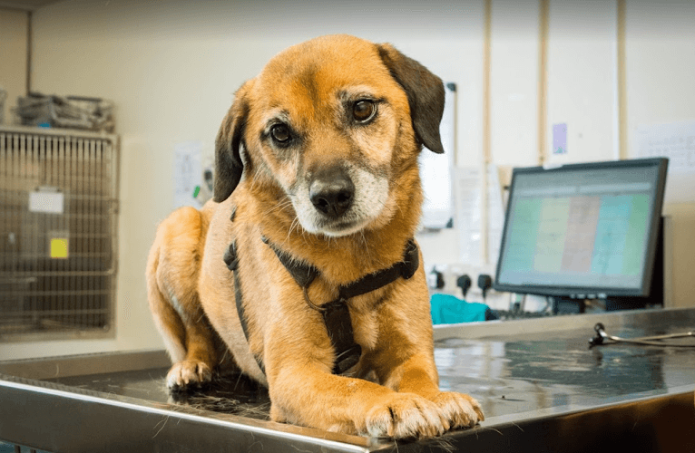 Business listing image