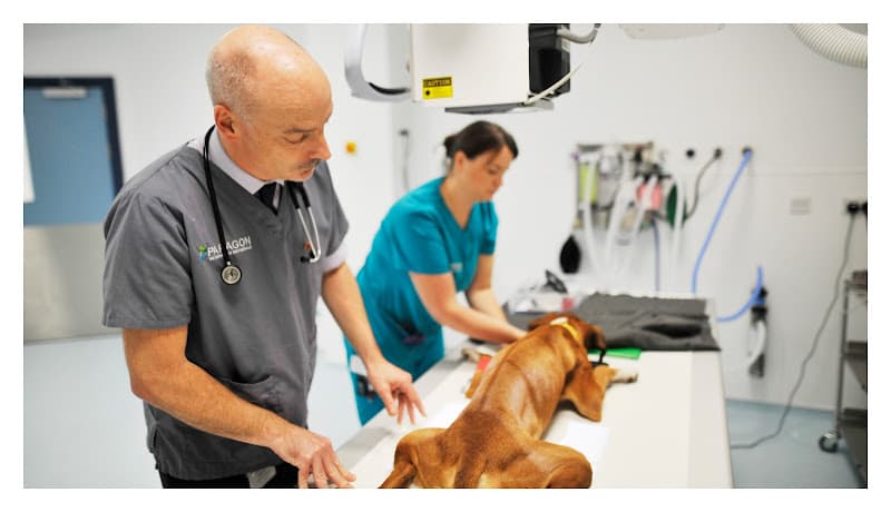 Business listing image