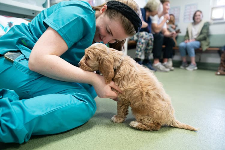 Business listing image