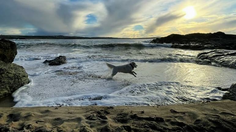 Business listing image