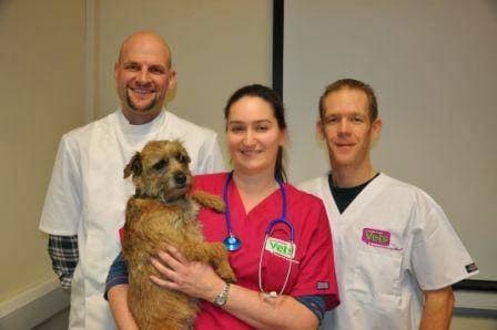 Business listing image