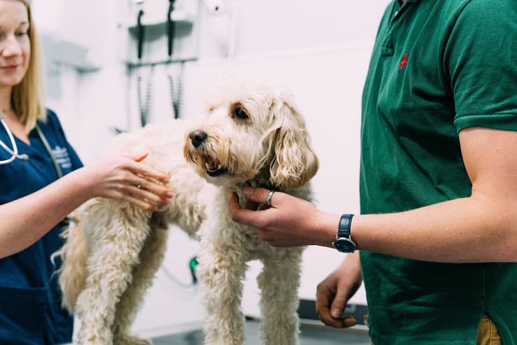 Business listing image