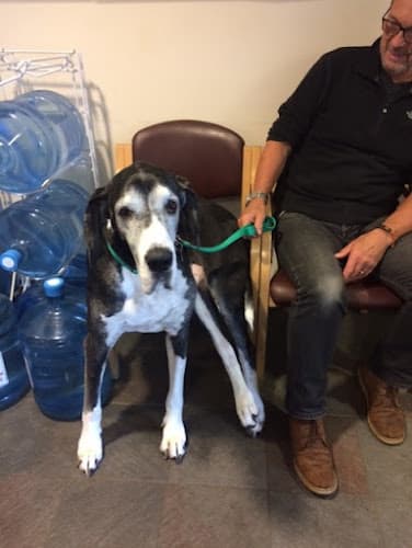 Business listing image