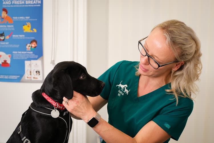 Business listing image