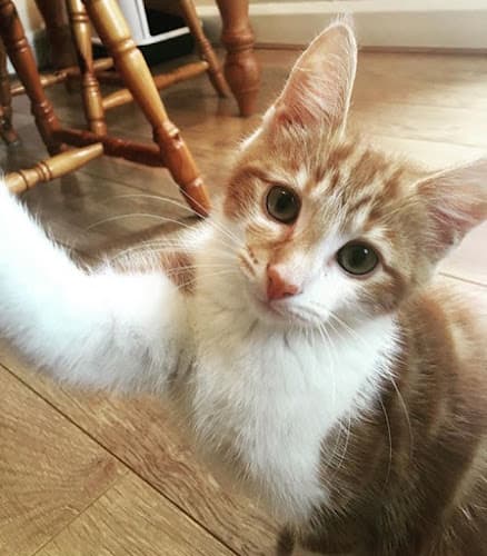 Business listing image