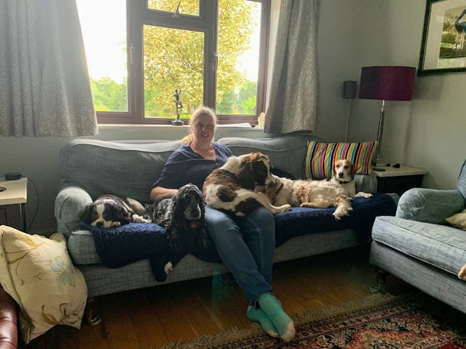 Business listing image