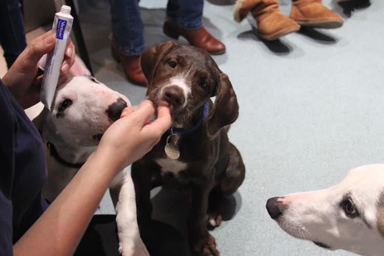 Business listing image