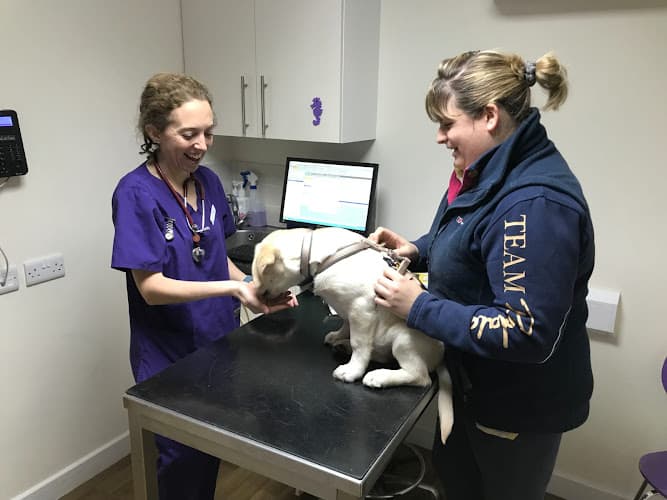 Business listing image