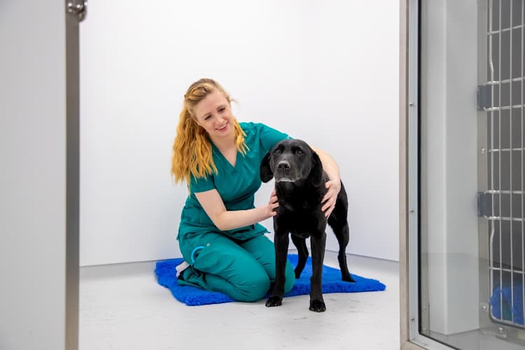 Business listing image