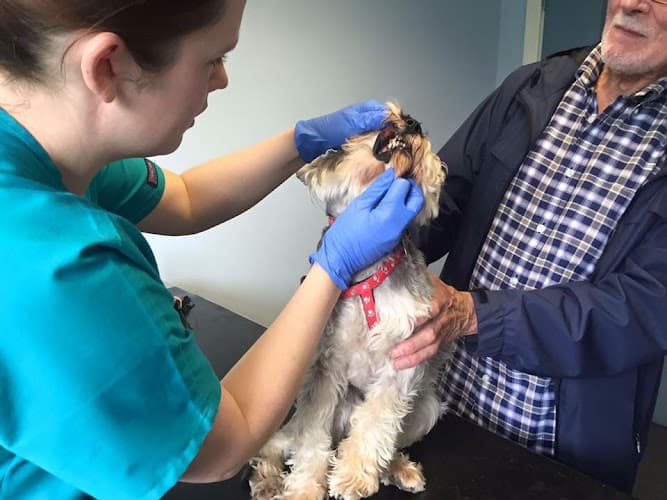 Business listing image