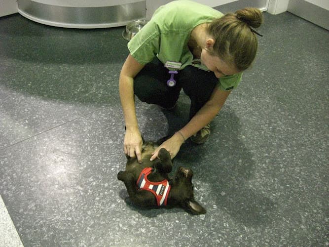 Business listing image