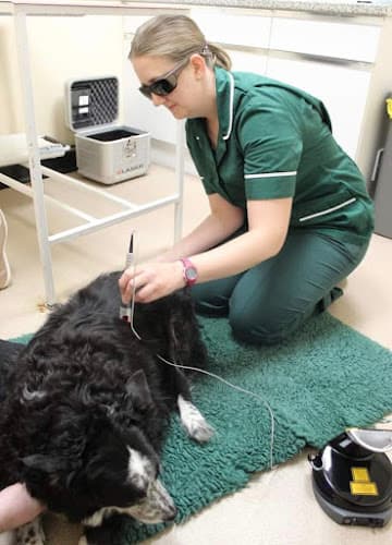 Business listing image