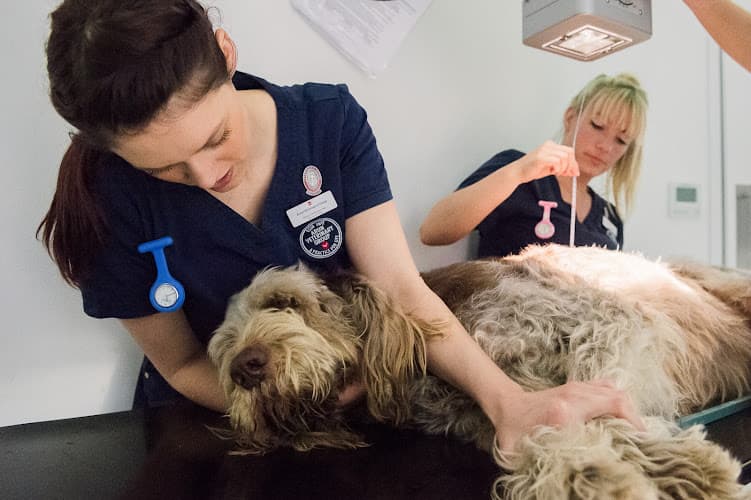 Business listing image