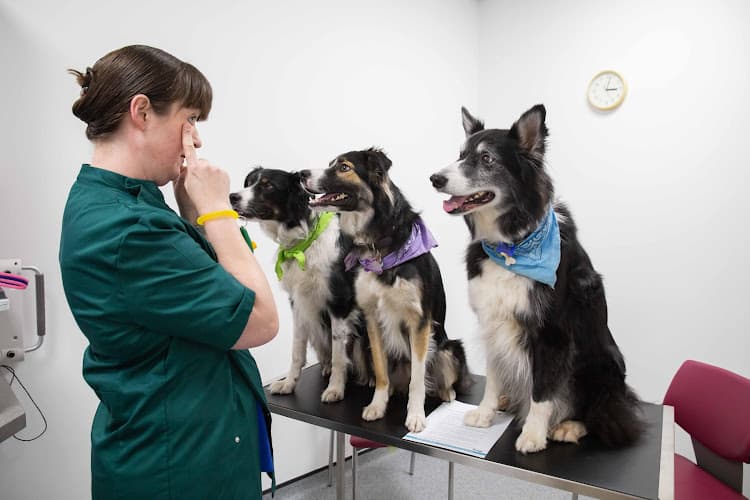 Business listing image