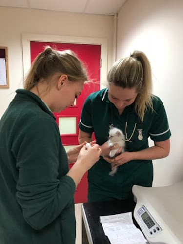 Business listing image