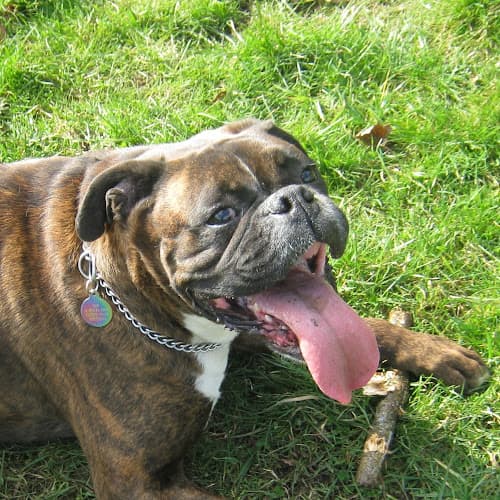 Business listing image