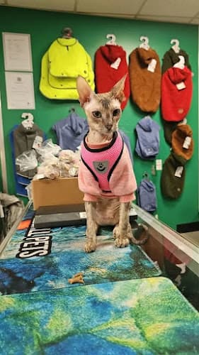 Business listing image