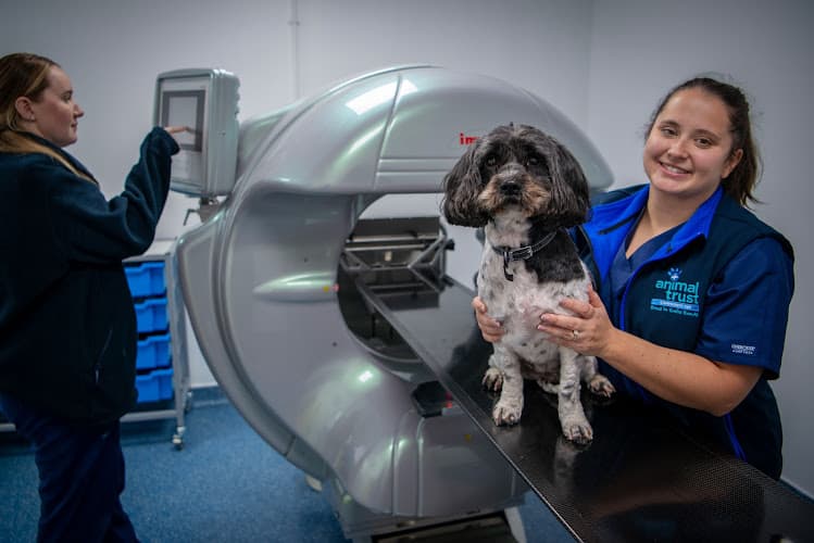 Business listing image