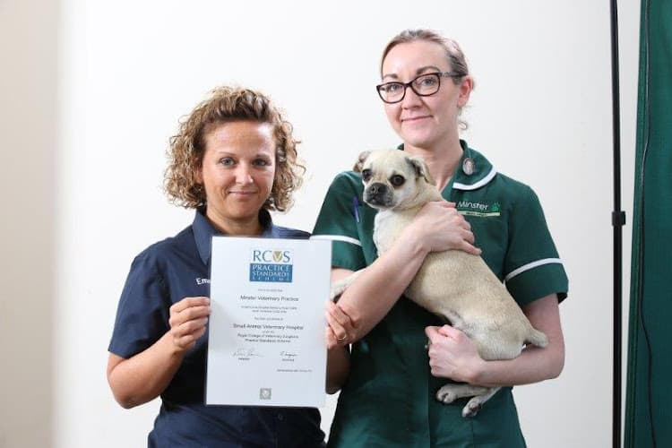 Business listing image