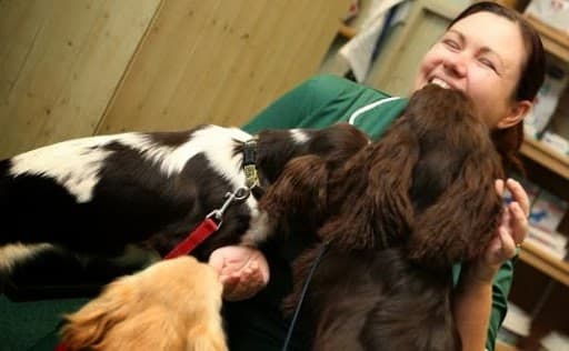 Business listing image