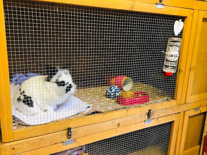 Business listing image