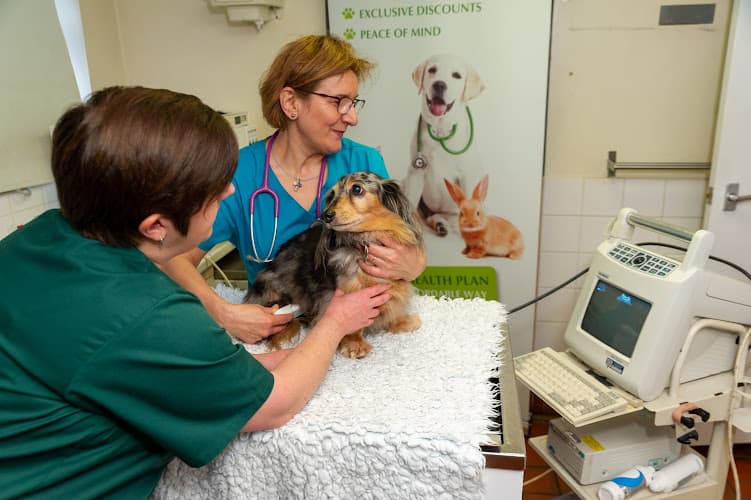 Business listing image