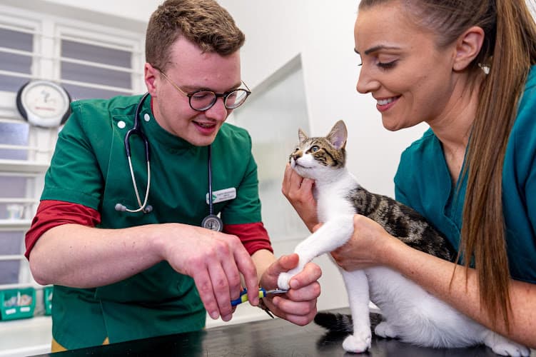 Business listing image