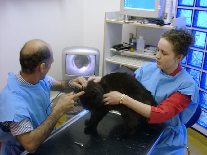 Business listing image