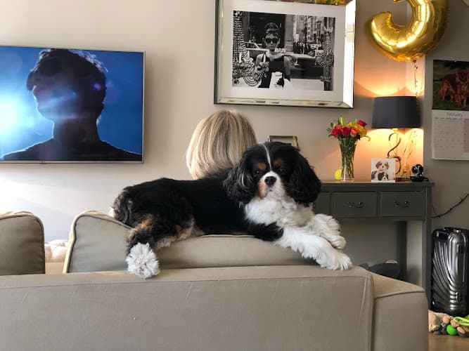 Business listing image