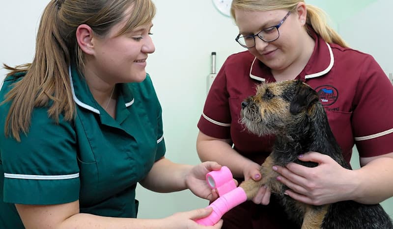 Business listing image