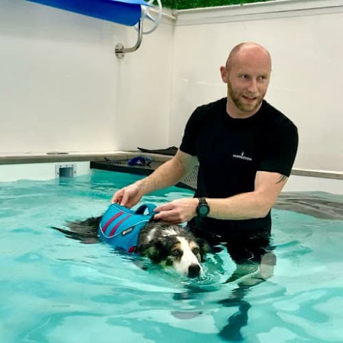 Business listing image