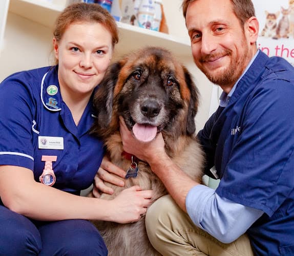 Business listing image