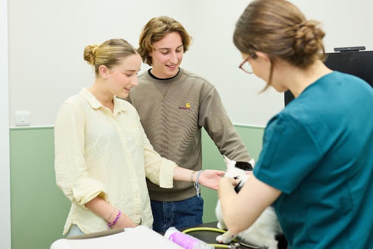 Business listing image