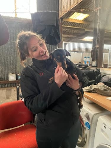 Business listing image