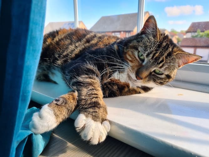 Business listing image