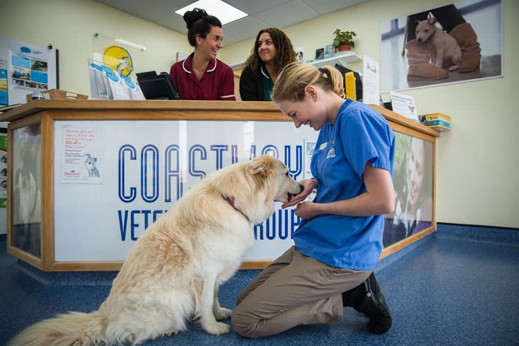 Business listing image