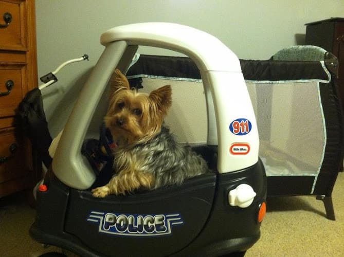 Business listing image