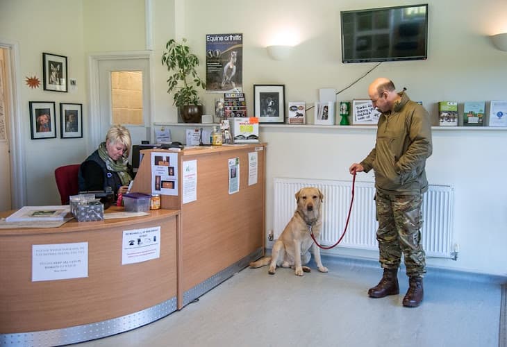 Business listing image