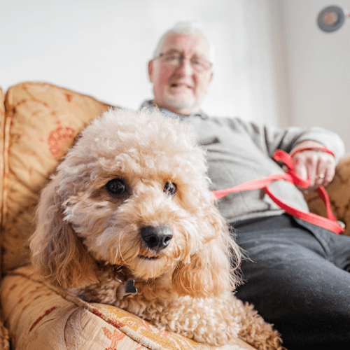 Business listing image