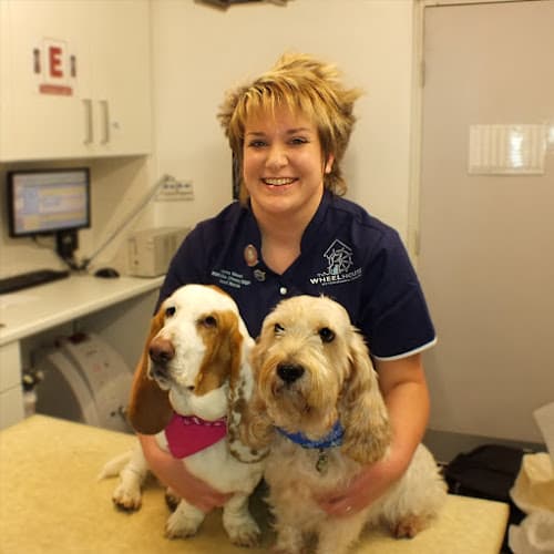 Business listing image